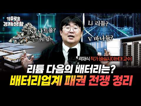 “싼맛에 쓰는 배터리 무시하면 큰일" 곽재식 작가가 짚어주는 비(非)리튬 배터리 판도 [기후로운 경제생활]