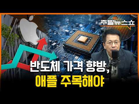 반도체 주, 더 오른다 vs 떨어진다 (김대호 박사)