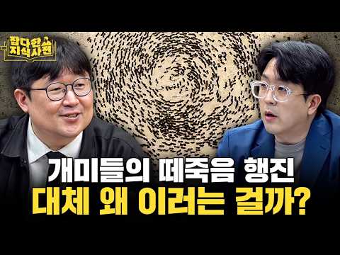 개미가 그리는 죽음의 나선 '앤트밀'🌀 / 심해에서 발견된 고래 공동묘지 🐋